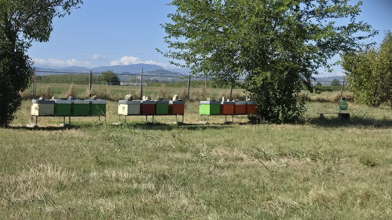 Arnie collocate nella campagna di Bibbiano