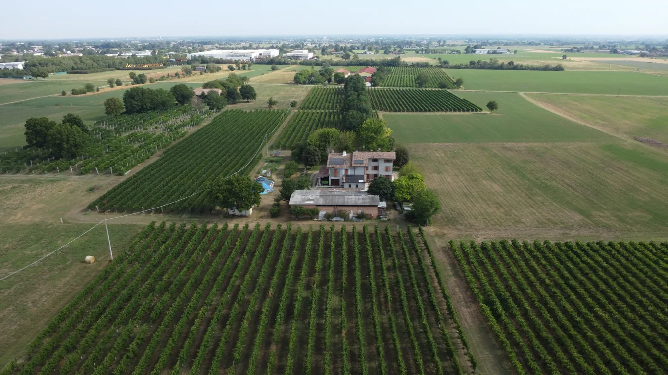 Vista aerea della casa e del vigneto del Ceppo d’Argento